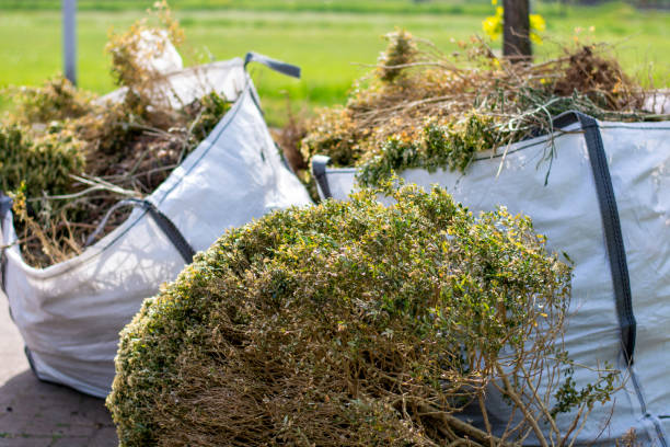 Best Shed Removal  in Stanwood, WA